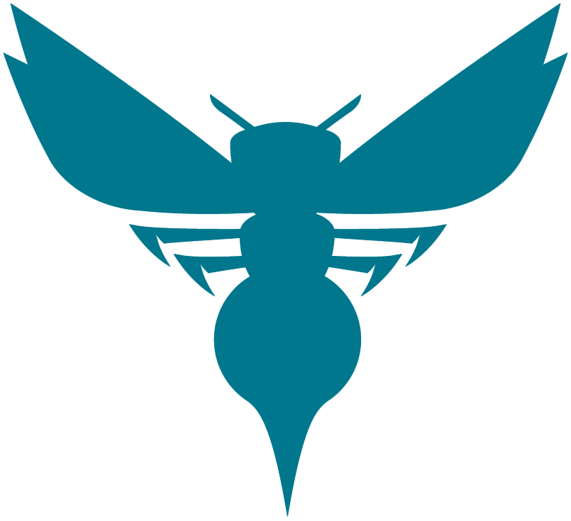 Charlotte Hornets 2014 15-Pres Alternate Logo 04 iron on paper